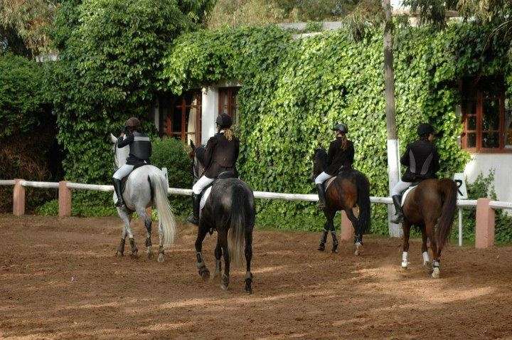 Poney-club-de-rabat-Skhirat-temara